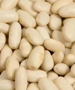 Bohnen, Lingots blanc, weiße Bohnen, mittelgroß, getrocknet, 1 kg