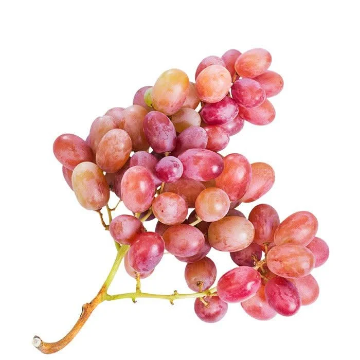 Trauben rosé, kernlos – Bild 2