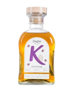 Käfer Alte Zwetschge