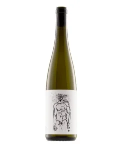 Bio Grüner Veltliner Hofstudien, Kremstal, Österreich