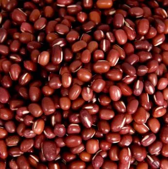 Bohnen, Azuki-Bohnen, BIO, 25 kg