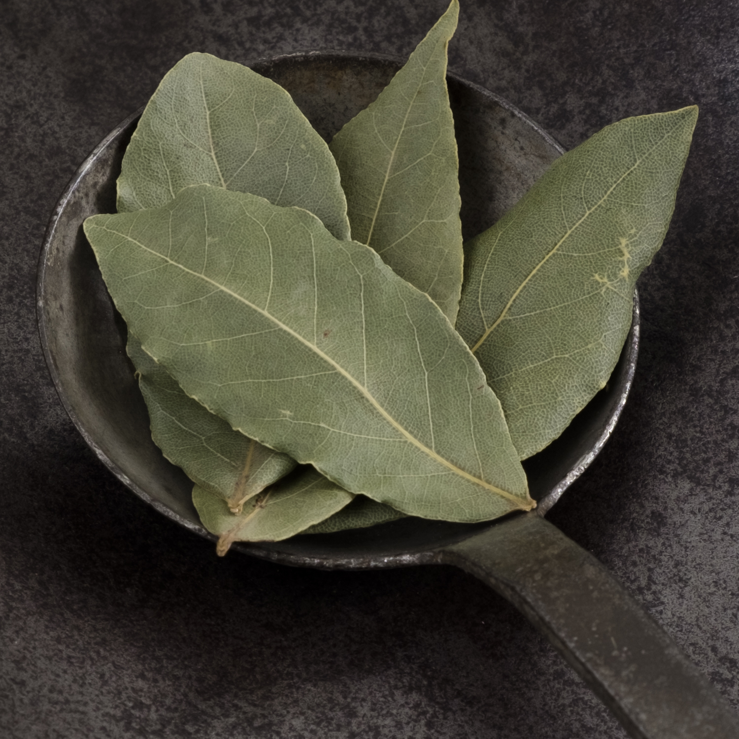 Bay leaves Sardinia bio 5g – Bild 2