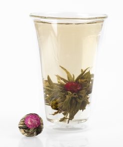 China Jasmin Teerose “Yu Long Tao”, 1 Stk