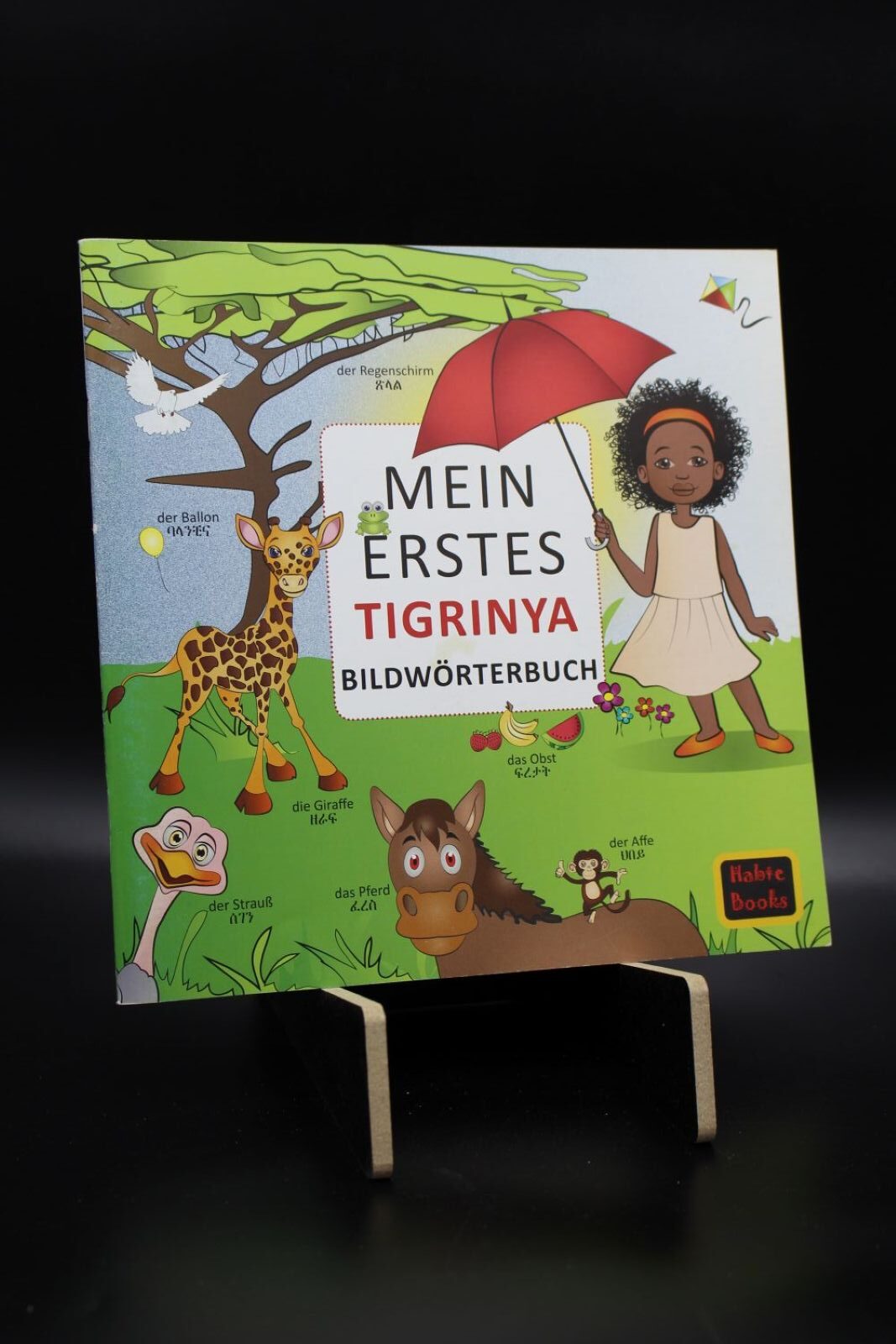 „Mein erstes Tigrinya Bilderwörterbuch“ (Fitsame Teferra) – Bild 2
