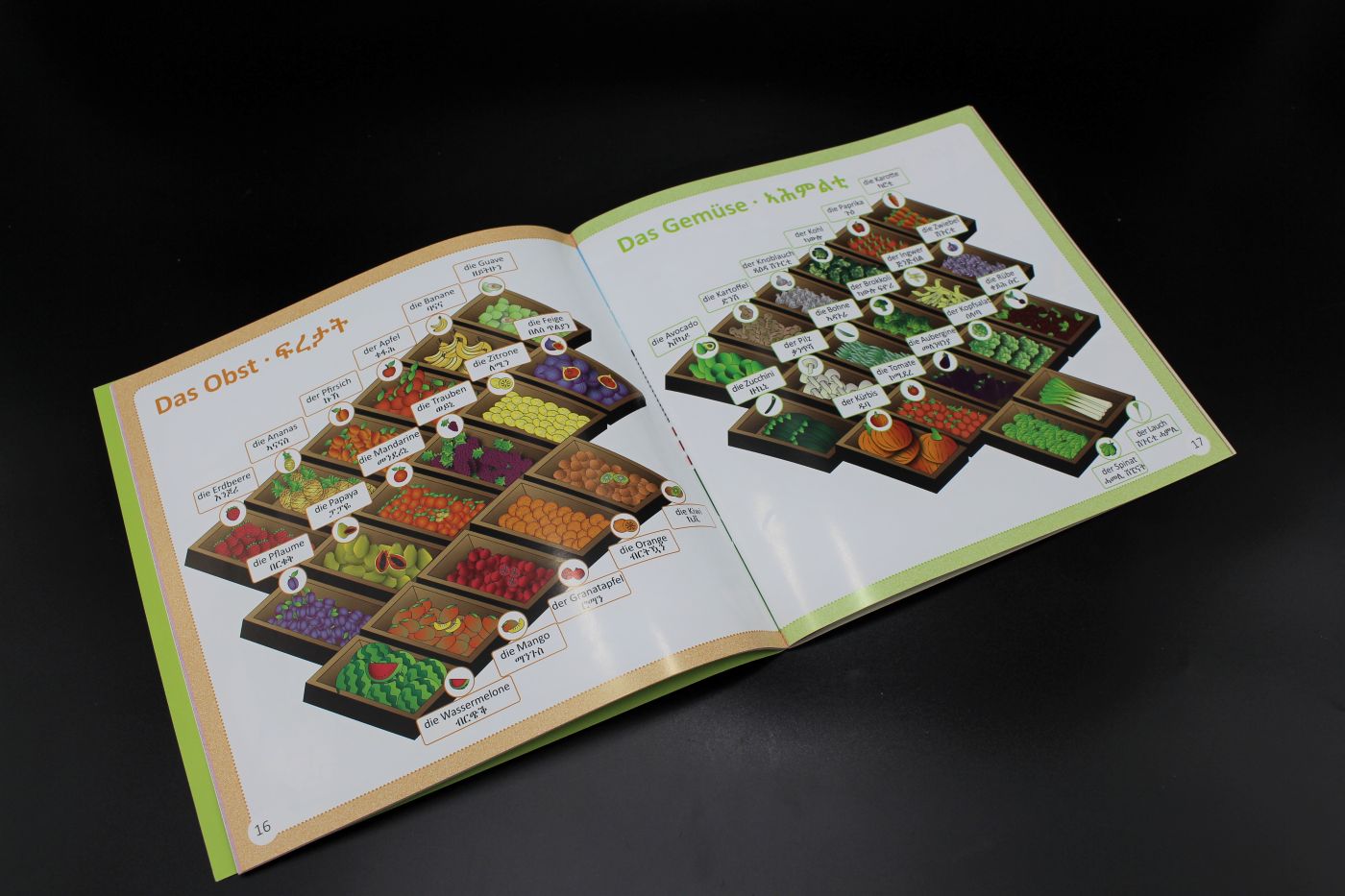 „Mein erstes Tigrinya Bilderwörterbuch“ (Fitsame Teferra) – Bild 5