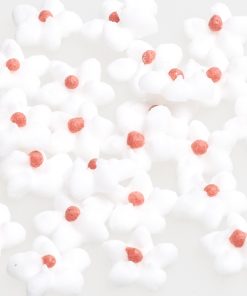 Forget-me-not white 10mm 30 pcs.