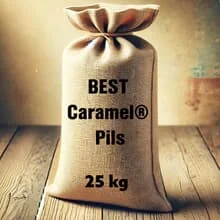 BEST Caramel® Pils Malz 25kg-Sack ungeschrotet